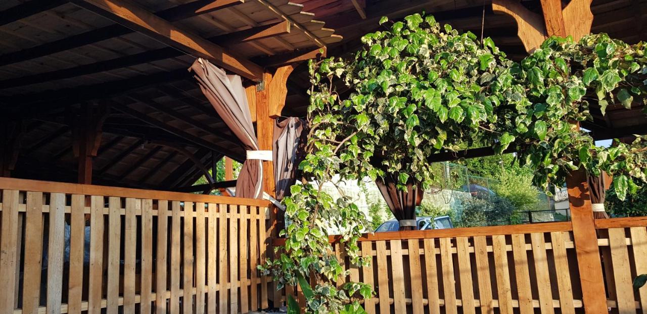 Эко-Отель Гагра Gagra Exterior foto