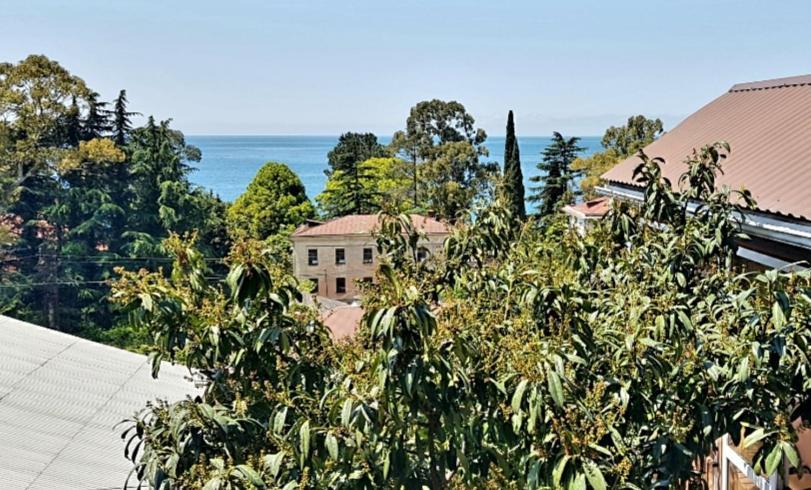Эко-Отель Гагра Gagra Exterior foto